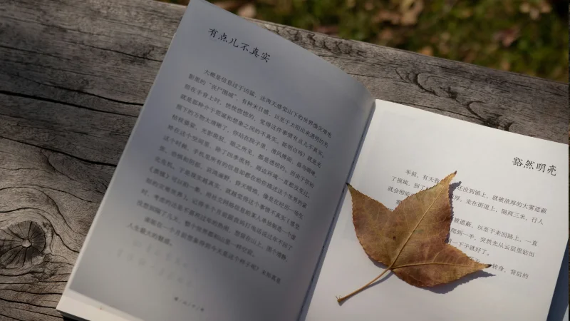 Book Idea into a Published Book