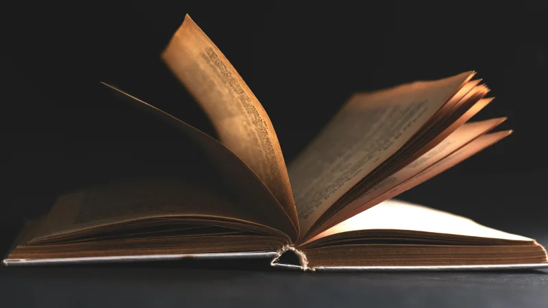 How Expert Guidance Turns Ideas into Published Books