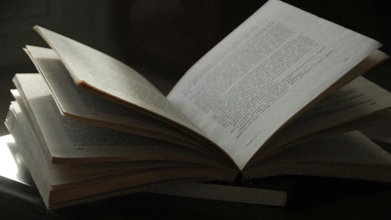 How to Turn Your Book Idea into a Published Book