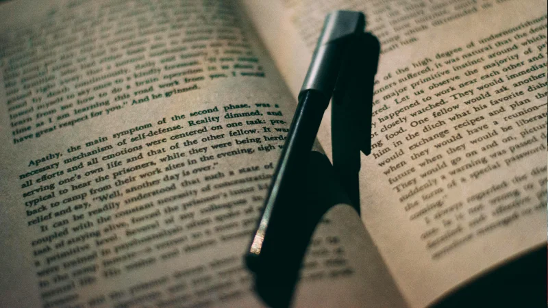 Professional Book Writing Service in the USA