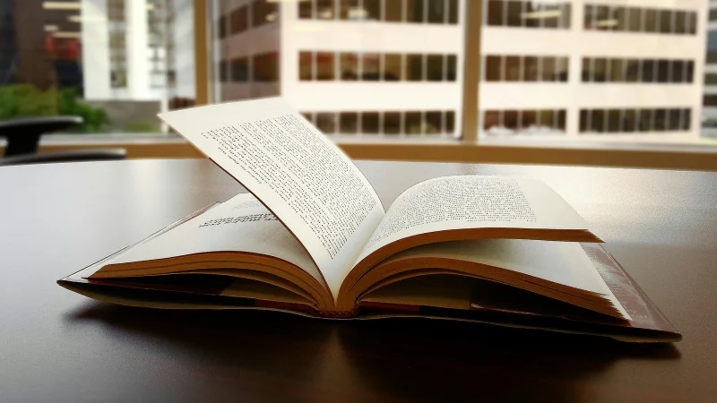 Working with a Professional Book Writing